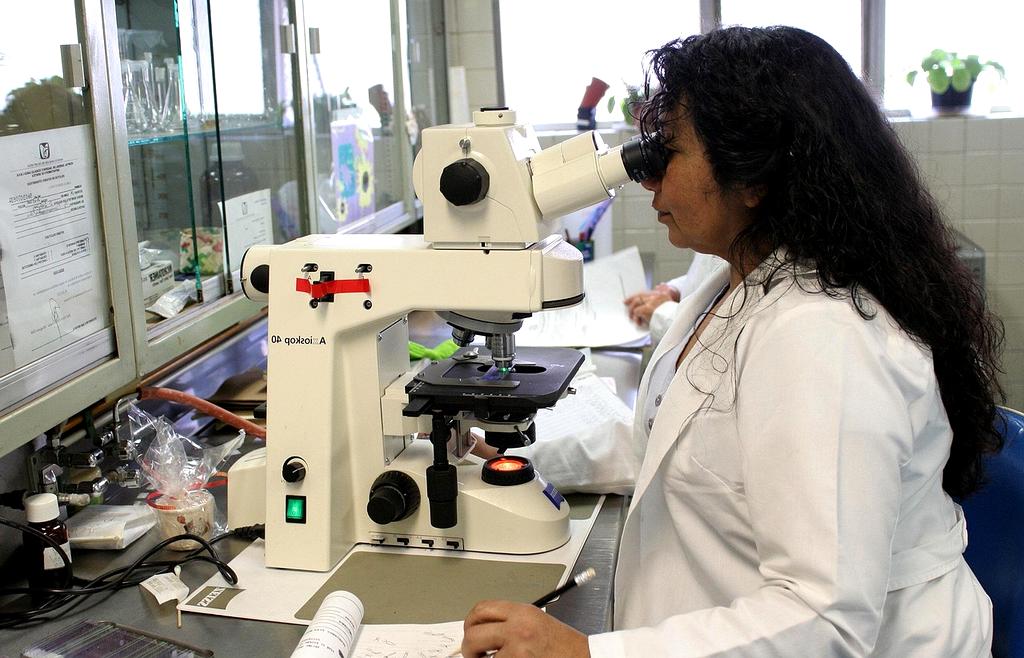 Health and wellness guide icon