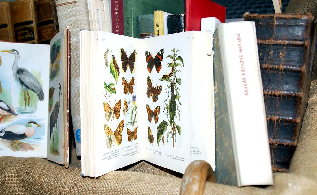 Technology guide icon with gadgets