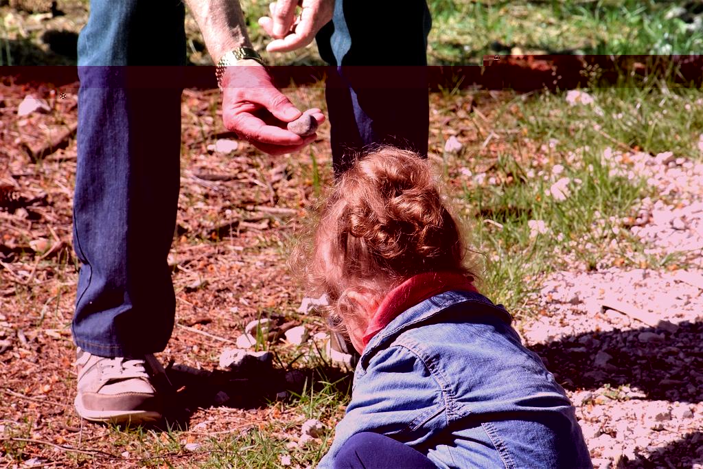 Security shield icon