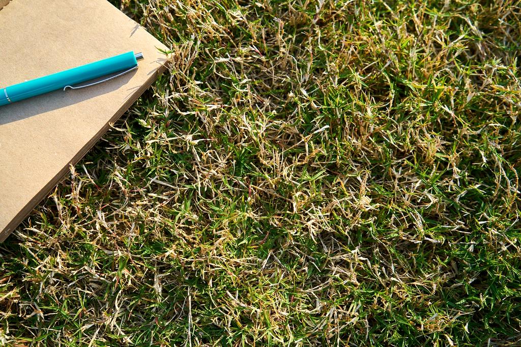 Collage of diverse daily topics icons